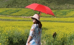 谁把黄光裕弄进去的